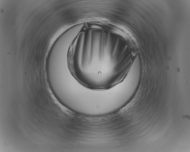 X0000073741046200608241317