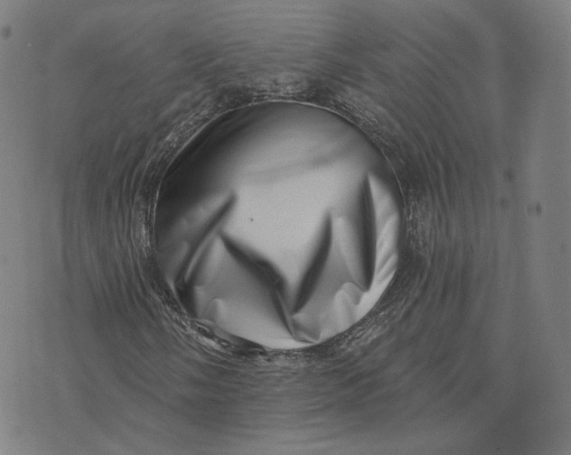 X0000073741058200608241316