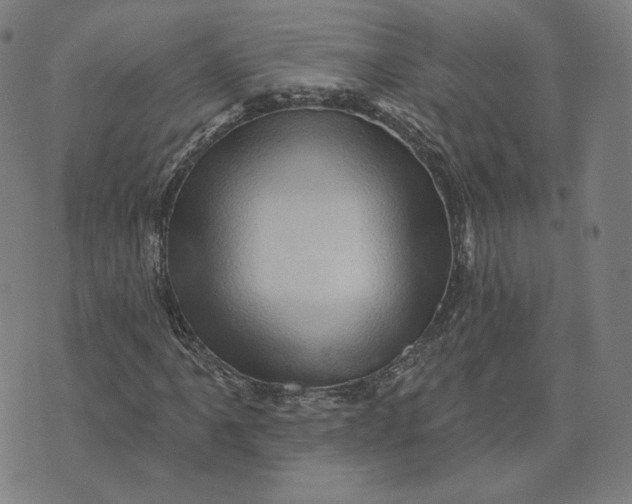 X0000073741061200608241316