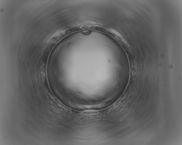 X0000073741063200608241316