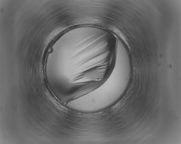 X0000073741072200608241316
