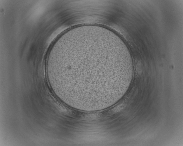 X0000073741078200608241316
