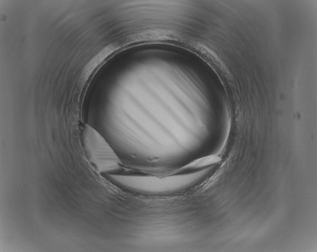 X0000073741081200608241316