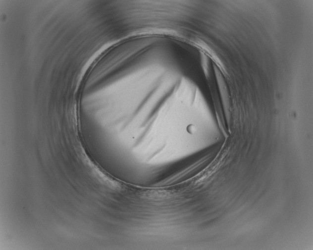 X0000073741092200608241316