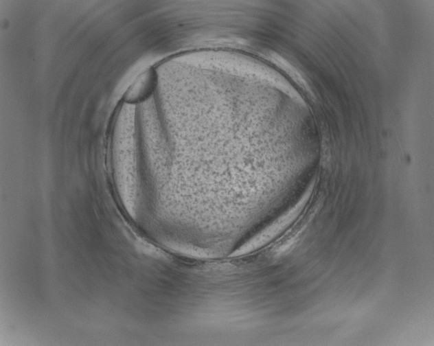 X0000073741094200608241316