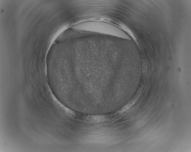 X0000073741095200608241316