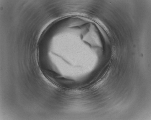 X0000073741100200608241316