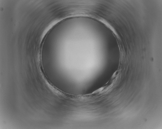 X0000073741101200608241316