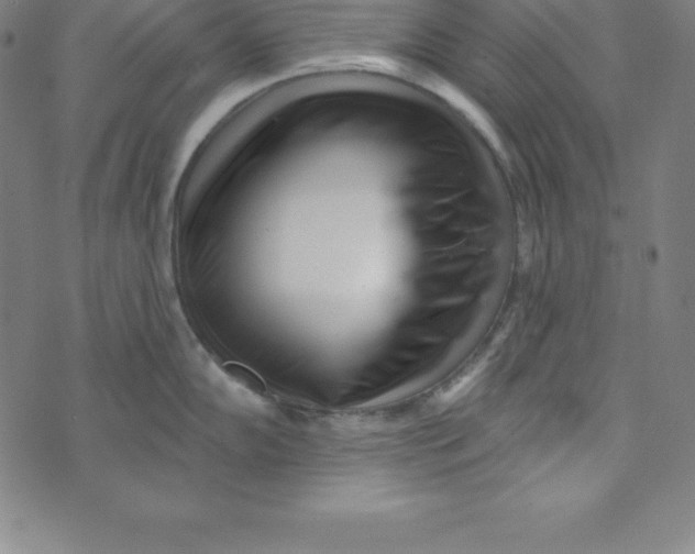 X0000073741102200608241316