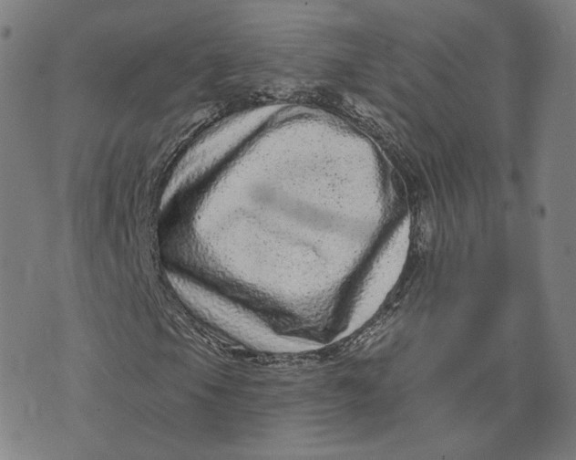 X0000073741105200608241315