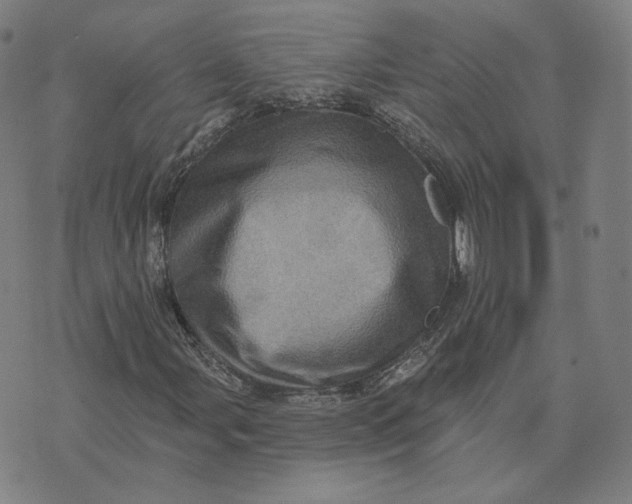 X0000073741107200608241315