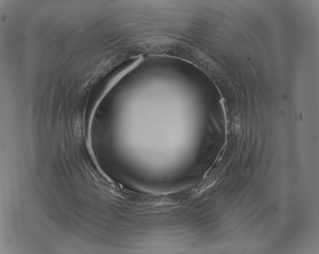 X0000073741108200608241315