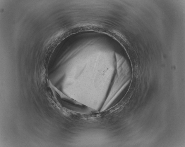 X0000073741111200608241315