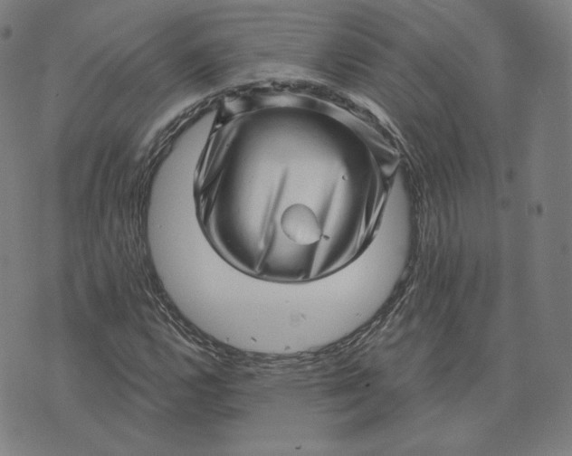 X0000073741112200608241315