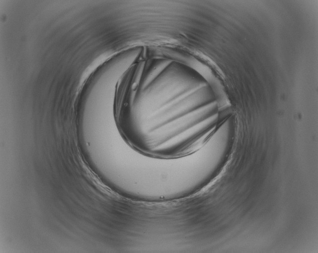 X0000073741114200608241315
