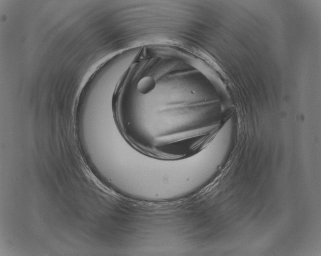 X0000073741116200608241315