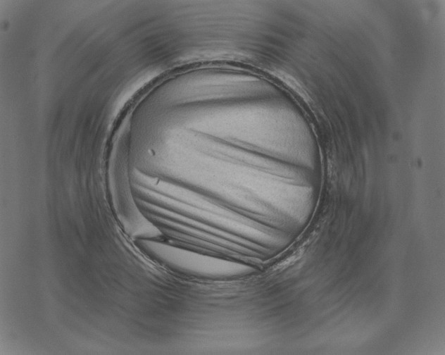 X0000073741119200608241315