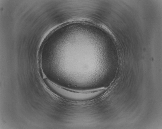 X0000073741124200608241315
