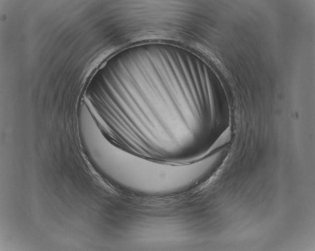 X0000073741129200608241315