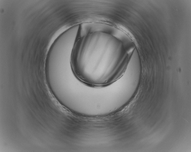 X0000073741138200608241315