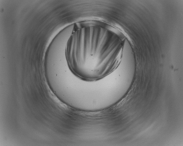 X0000073741140200608241315