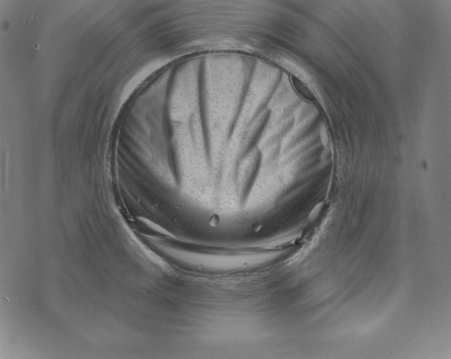 X0000073741141200608241315