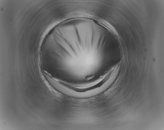 X0000073741144200608241315