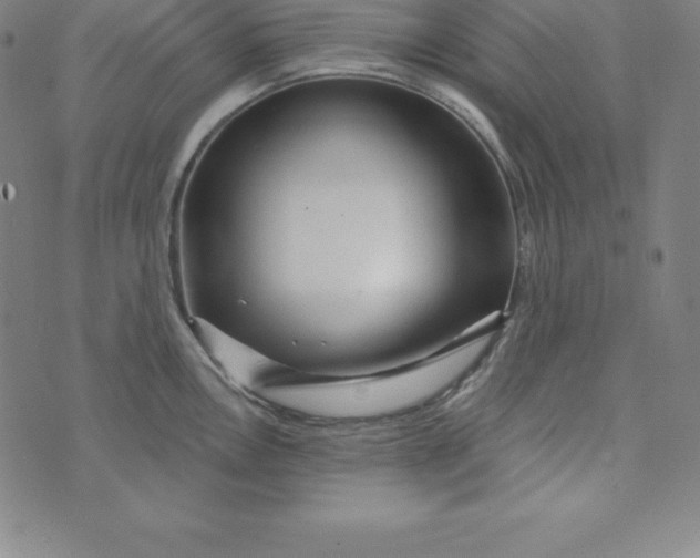 X0000073741146200608241315