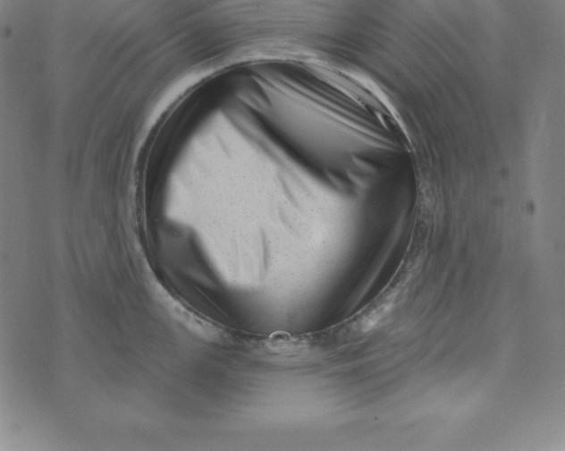 X0000073741147200608241316