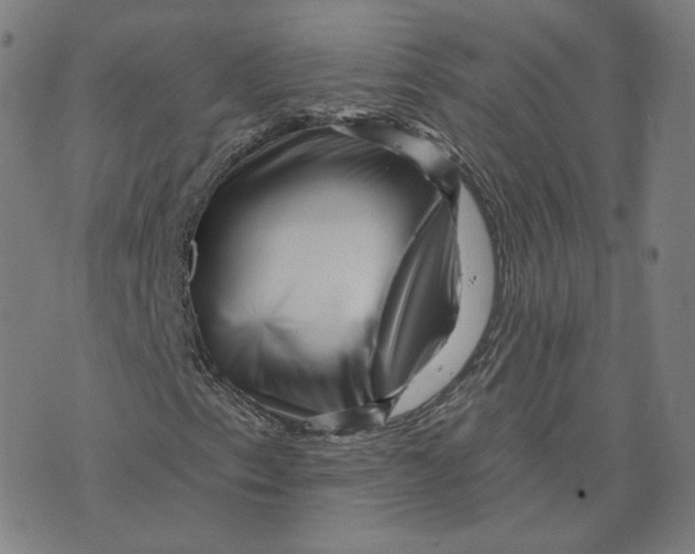 X0000073741153200608241315