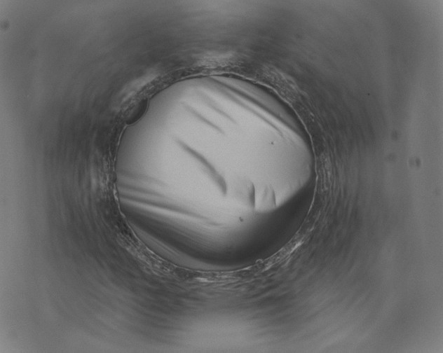 X0000073741158200608241315
