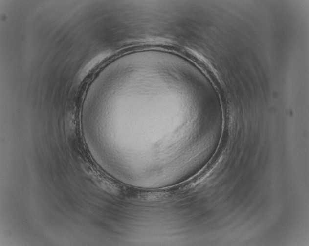 X0000073741163200608241315