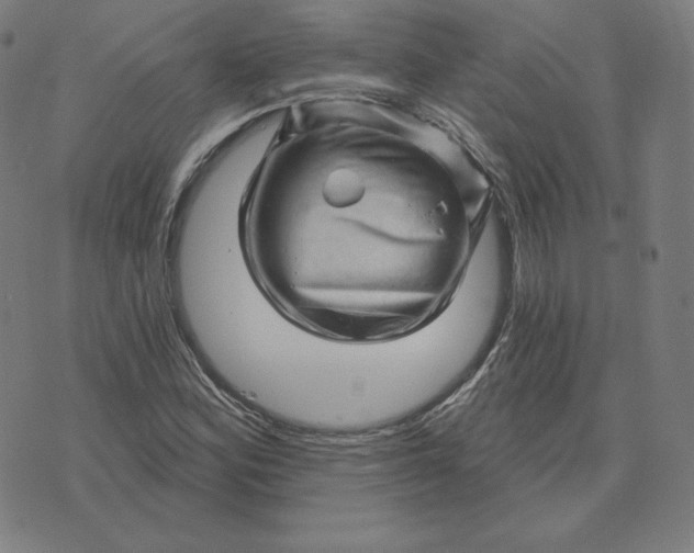 X0000073741164200608241315