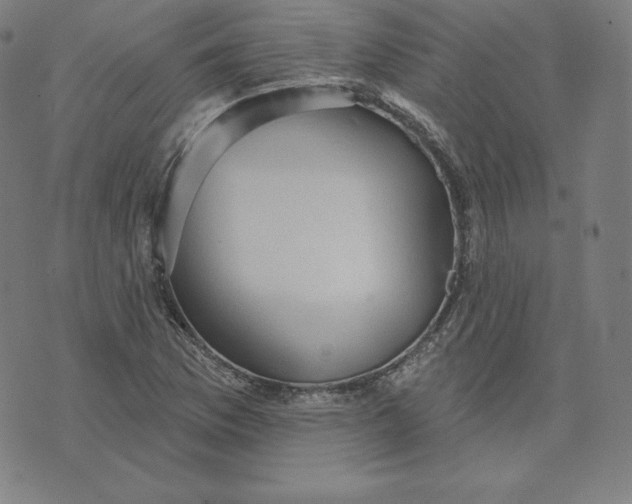 X0000073741169200608241315