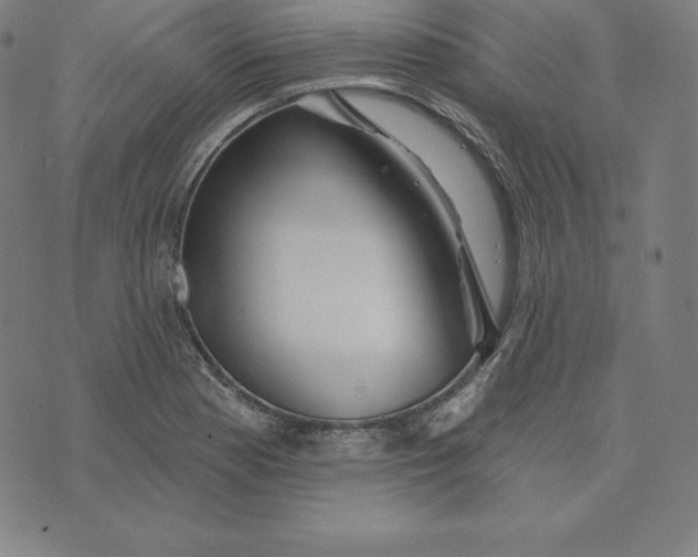 X0000073741177200608241314