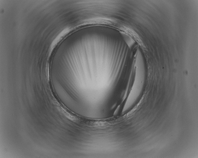 X0000073741180200608241314