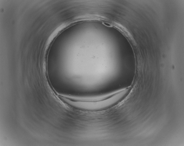 X0000073741188200608241314