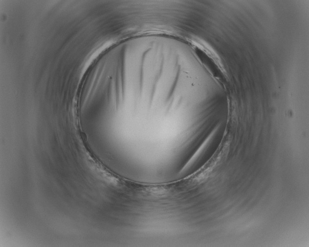 X0000073741190200608241314