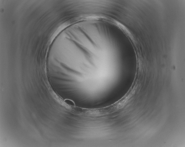 X0000073741194200608241314