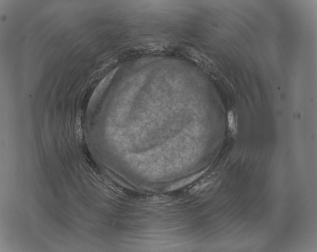 X0000073741203200608241313