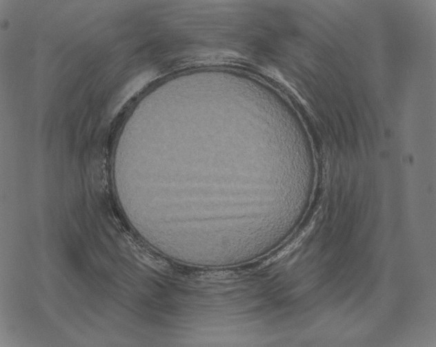 X0000073741211200608241313
