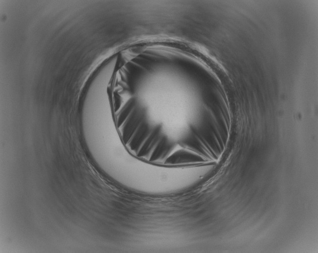 X0000073741221200608241314