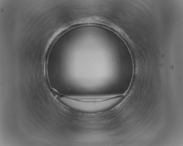 X0000073741224200608241314