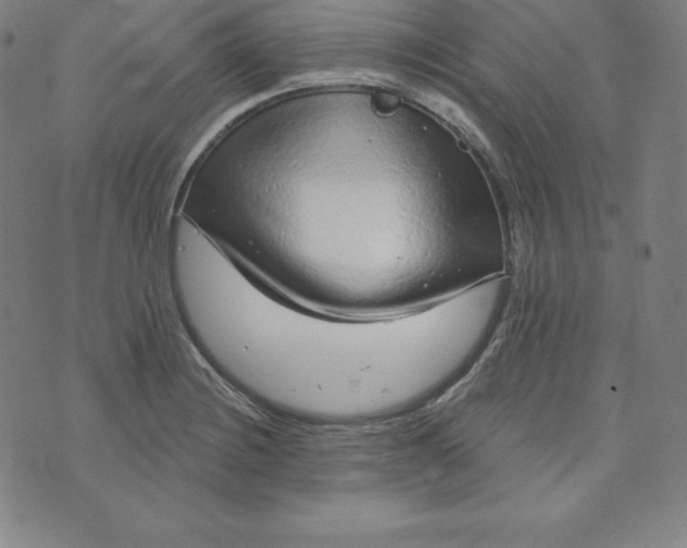 X0000073741228200608241314