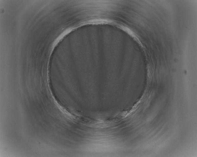 X0000073741229200608241314