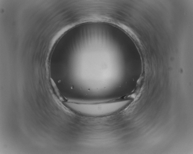 X0000073741238200608241314