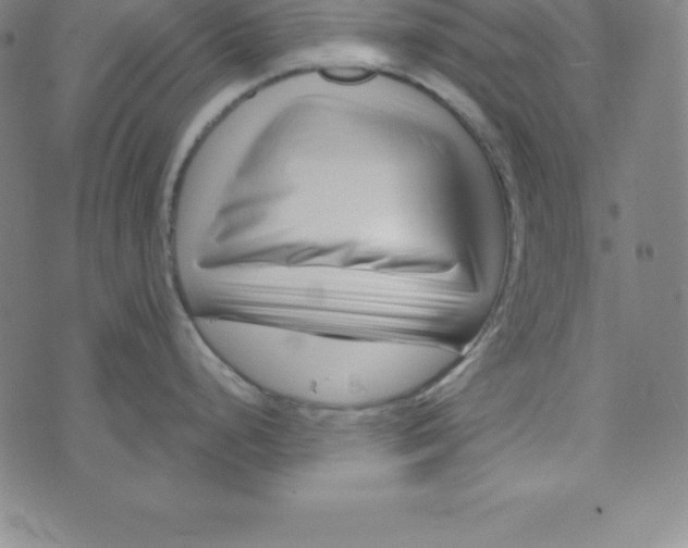 X0000073741248200608241314