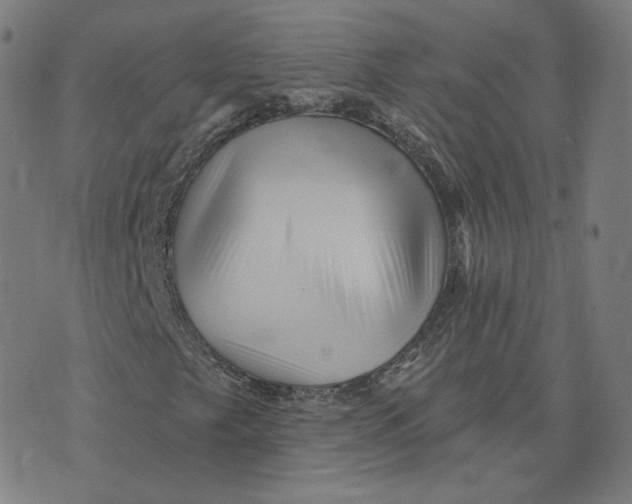 X0000073741249200608241313