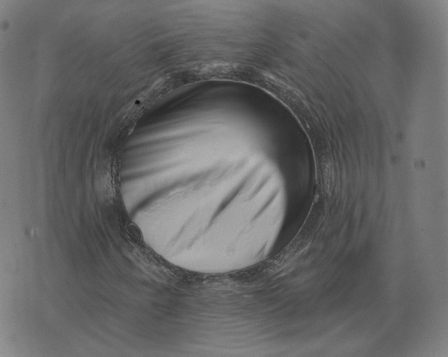 X0000073741250200608241313