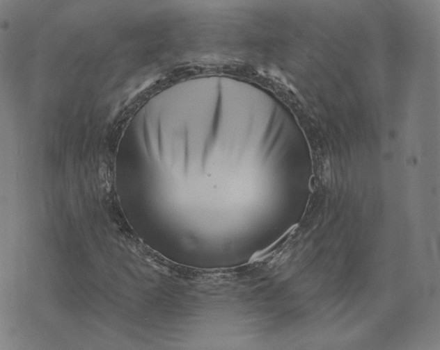 X0000073741253200608241313